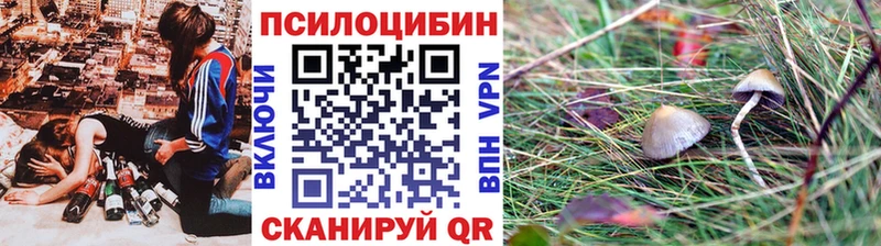 Купить закладки  Мостовской  Галлюциногенные грибы Psilocybe 